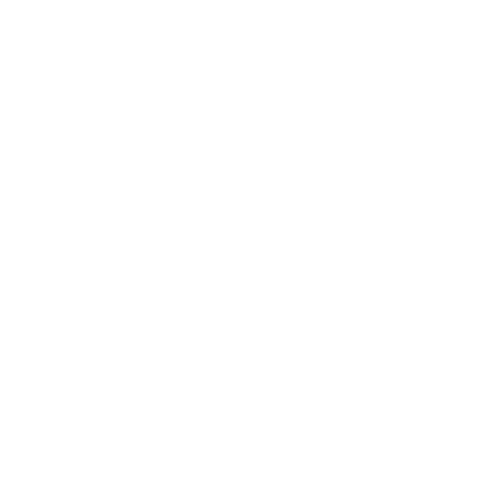 Travelers Choice Award